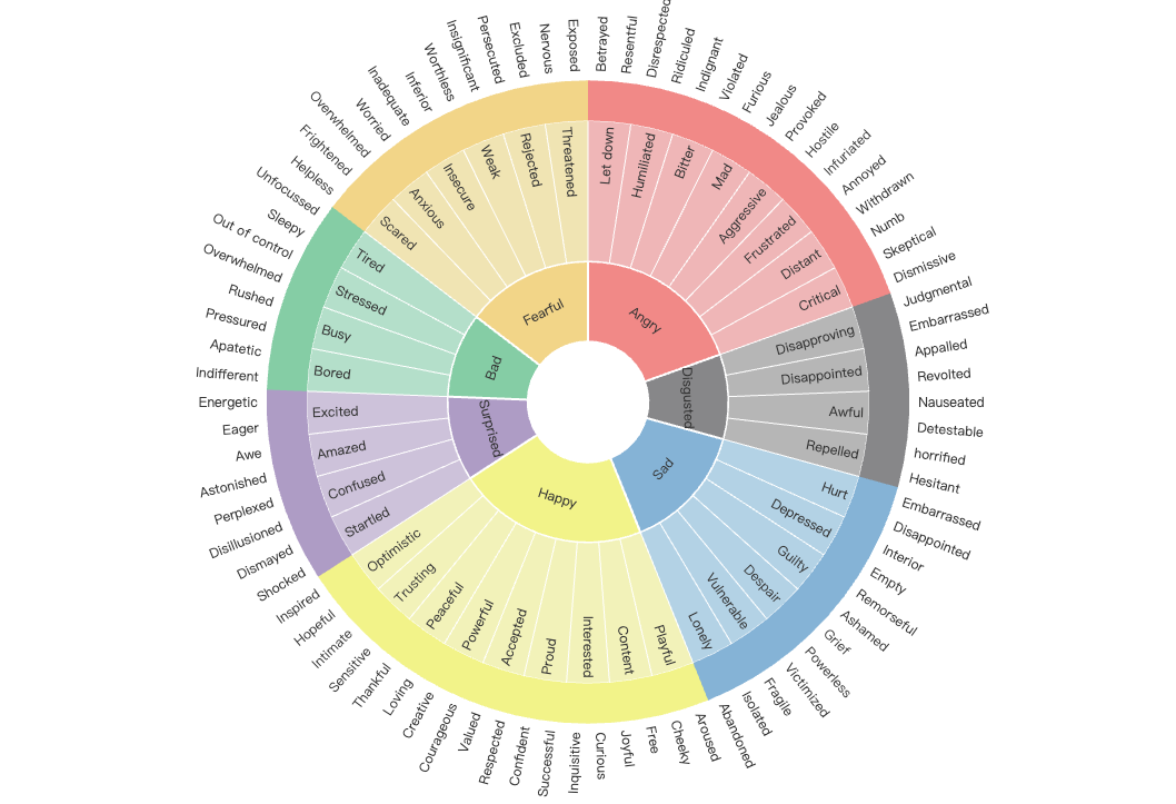 Feeling Wheel diagram for naming emotions in meditation