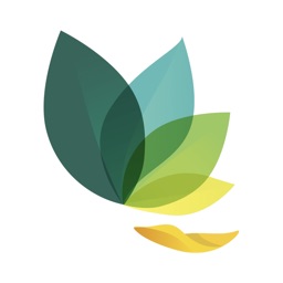 Oak app icon